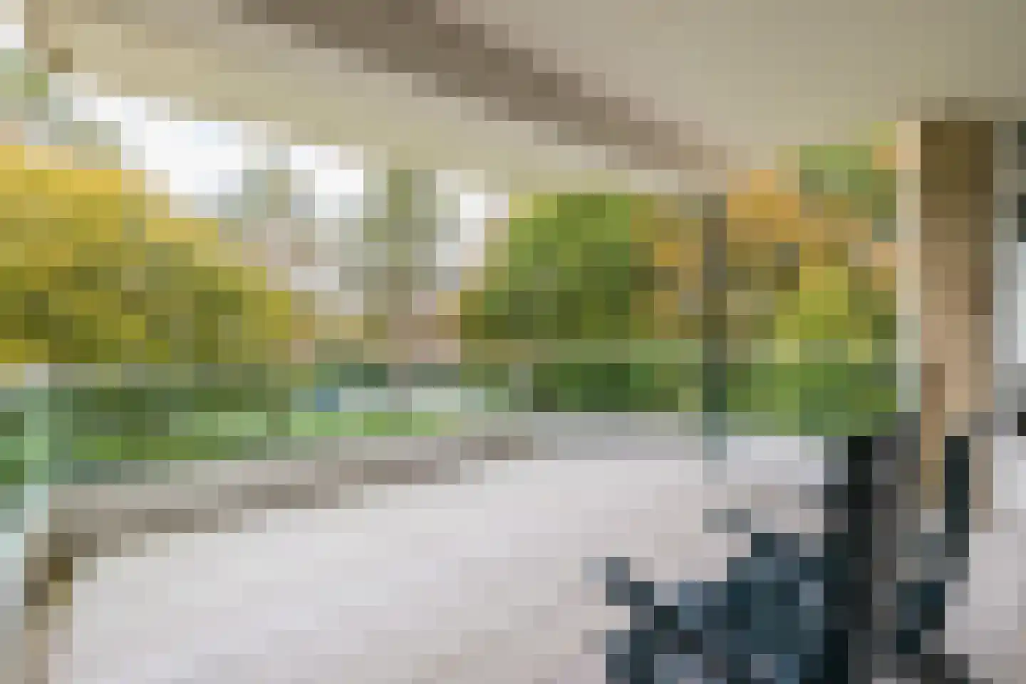 Van Nispenpark 4 Hillegom thumbnail 4