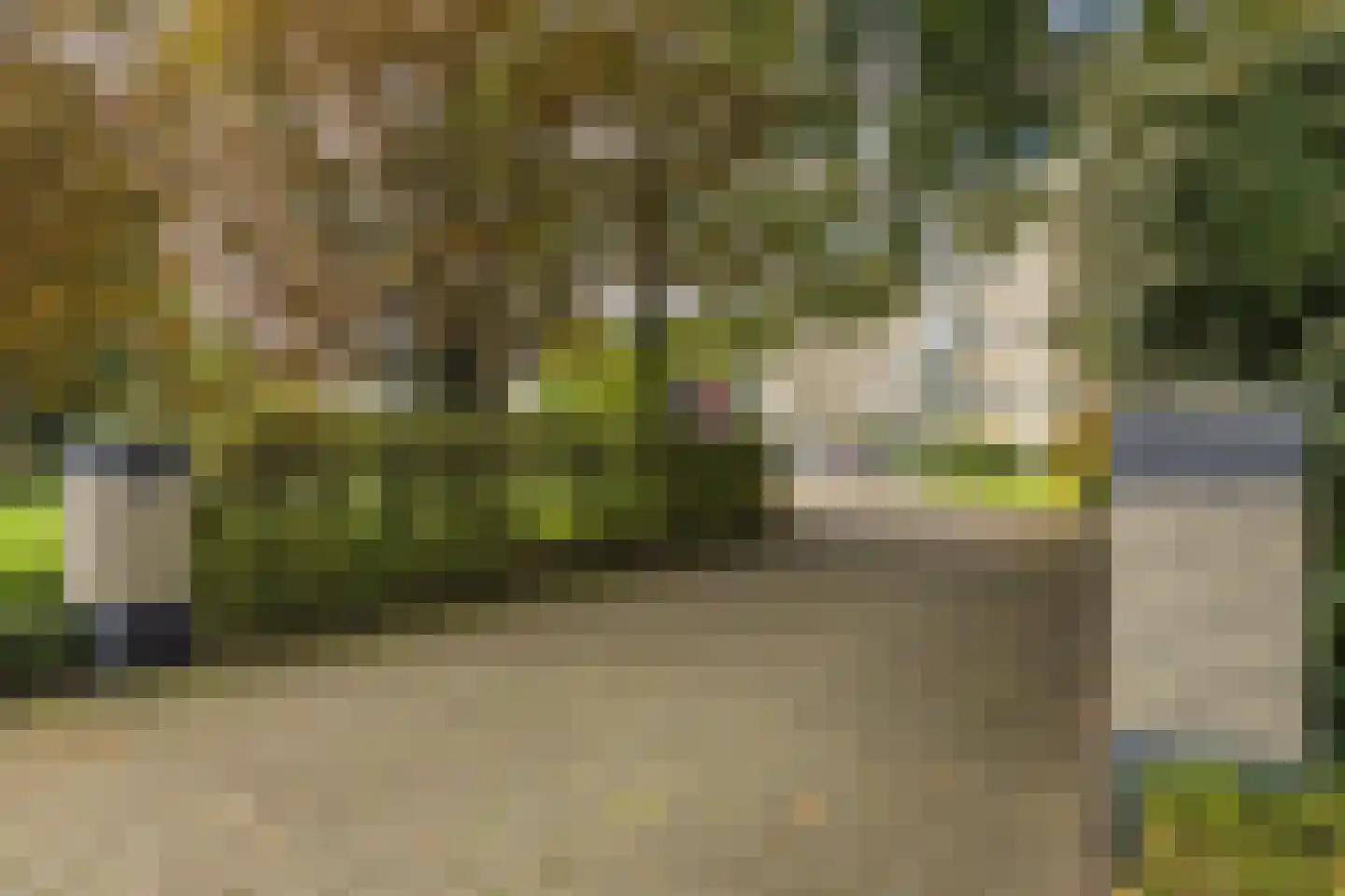 Van Nispenpark 4 Hillegom thumbnail 42