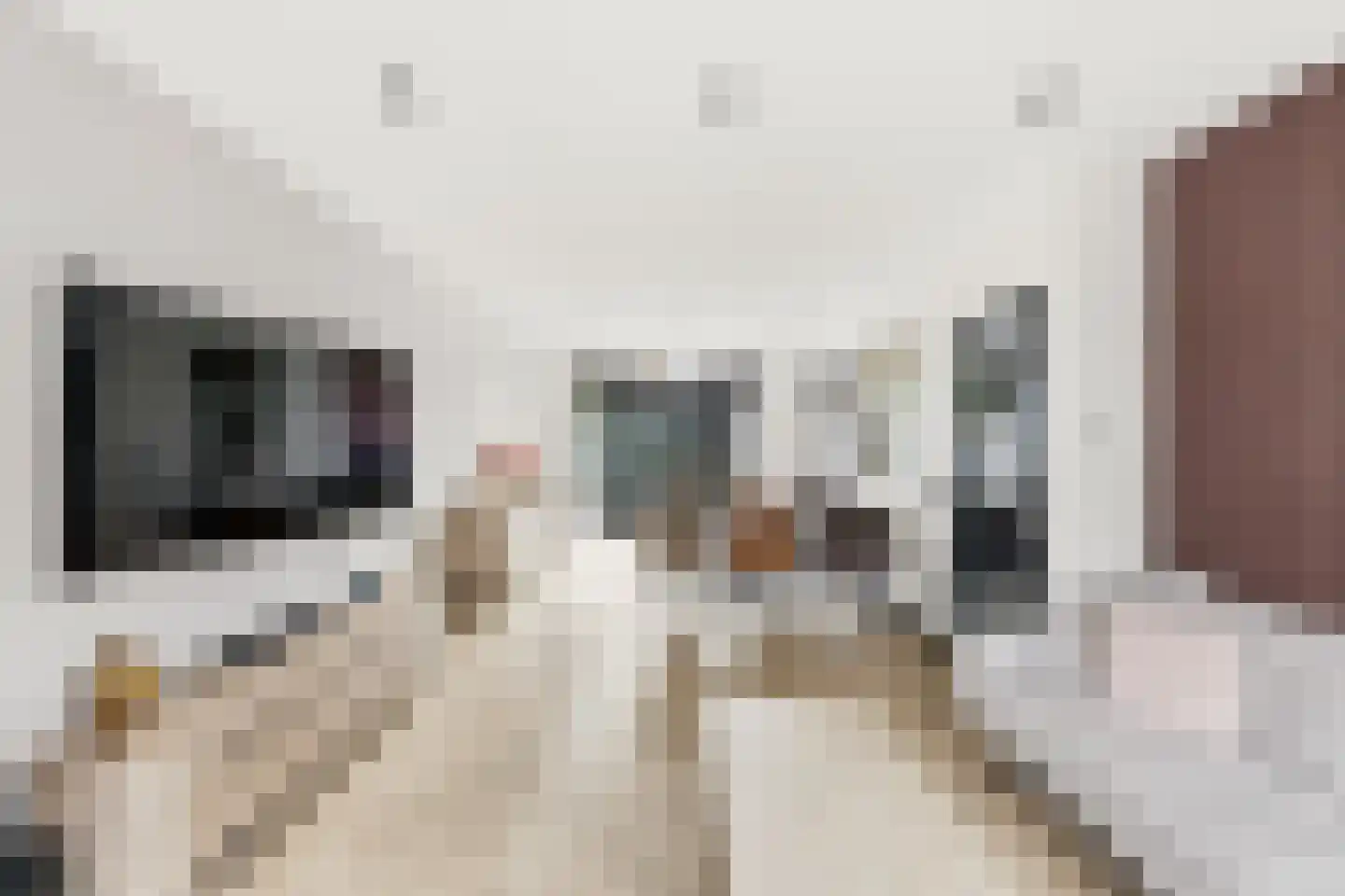 Van Nispenplein 18 Vlissingen thumbnail 8