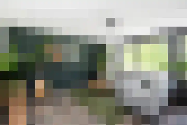 Van Nispensingel 141 Zwolle thumbnail 12