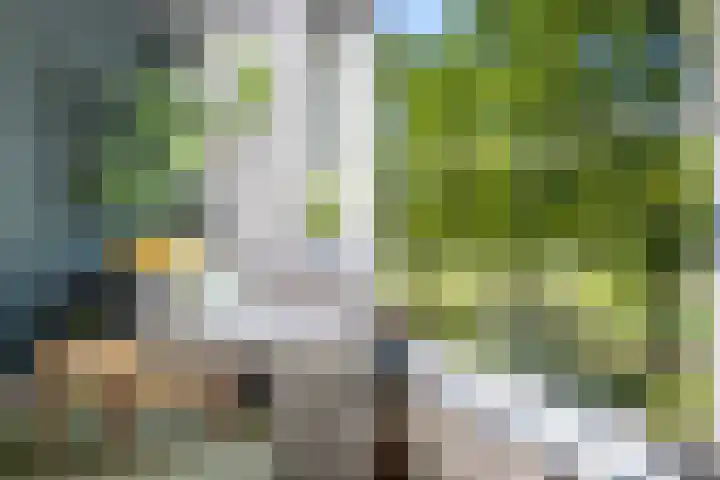 Van Nispensingel 141 Zwolle thumbnail 15