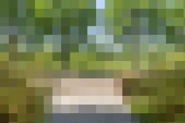 Van Nispensingel 141 Zwolle thumbnail 31