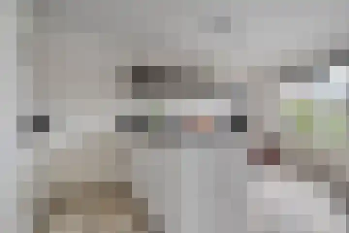 Van Nispensingel 151 Zwolle thumbnail 12