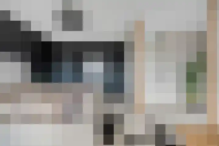 Van Nispensingel 151 Zwolle thumbnail 21