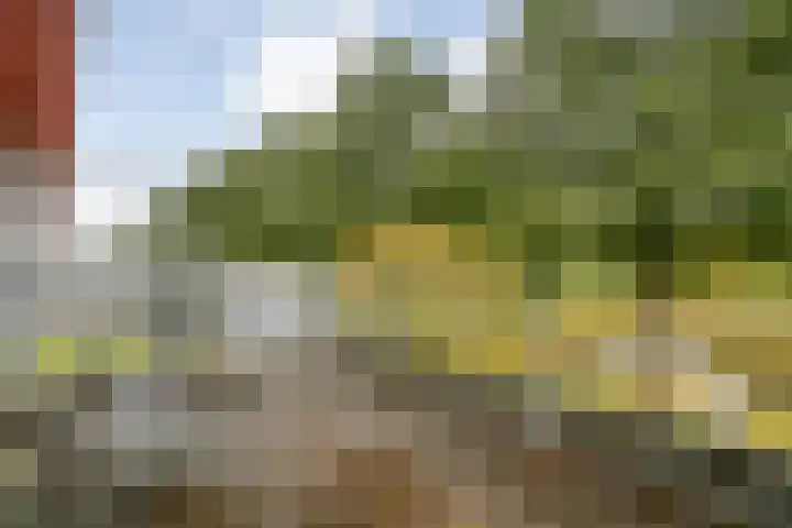 Van Nispensingel 151 Zwolle thumbnail 33