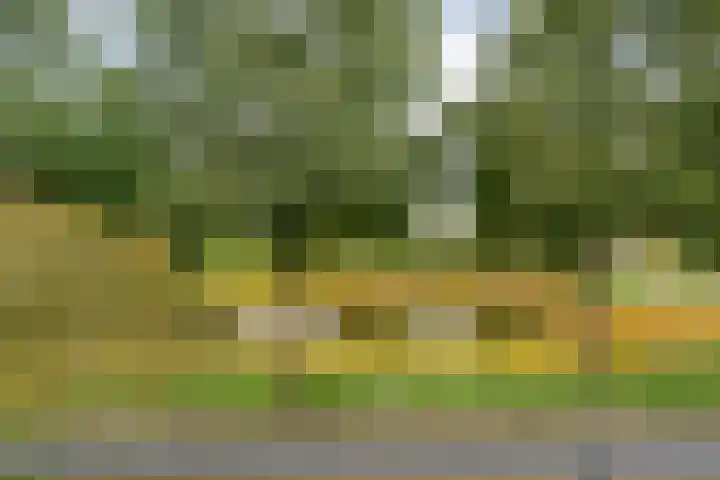 Van Nispensingel 151 Zwolle thumbnail 34