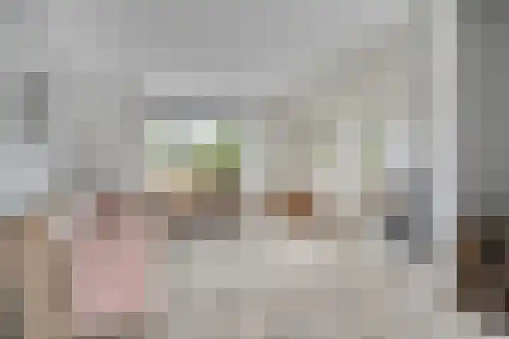 Van Nispensingel 151 Zwolle thumbnail 4