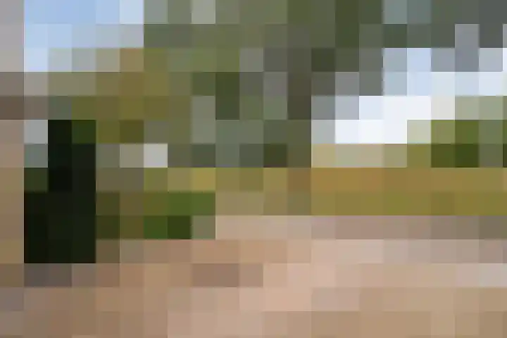 Van Nispensingel 151 Zwolle thumbnail 44