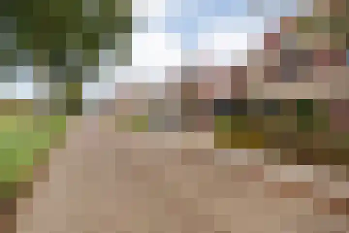 Van Nispensingel 151 Zwolle thumbnail 45
