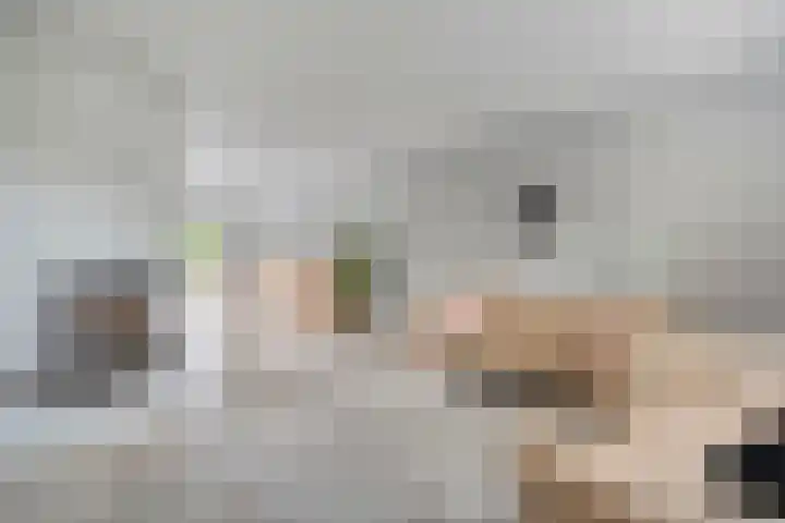 Van Nispensingel 151 Zwolle thumbnail 5