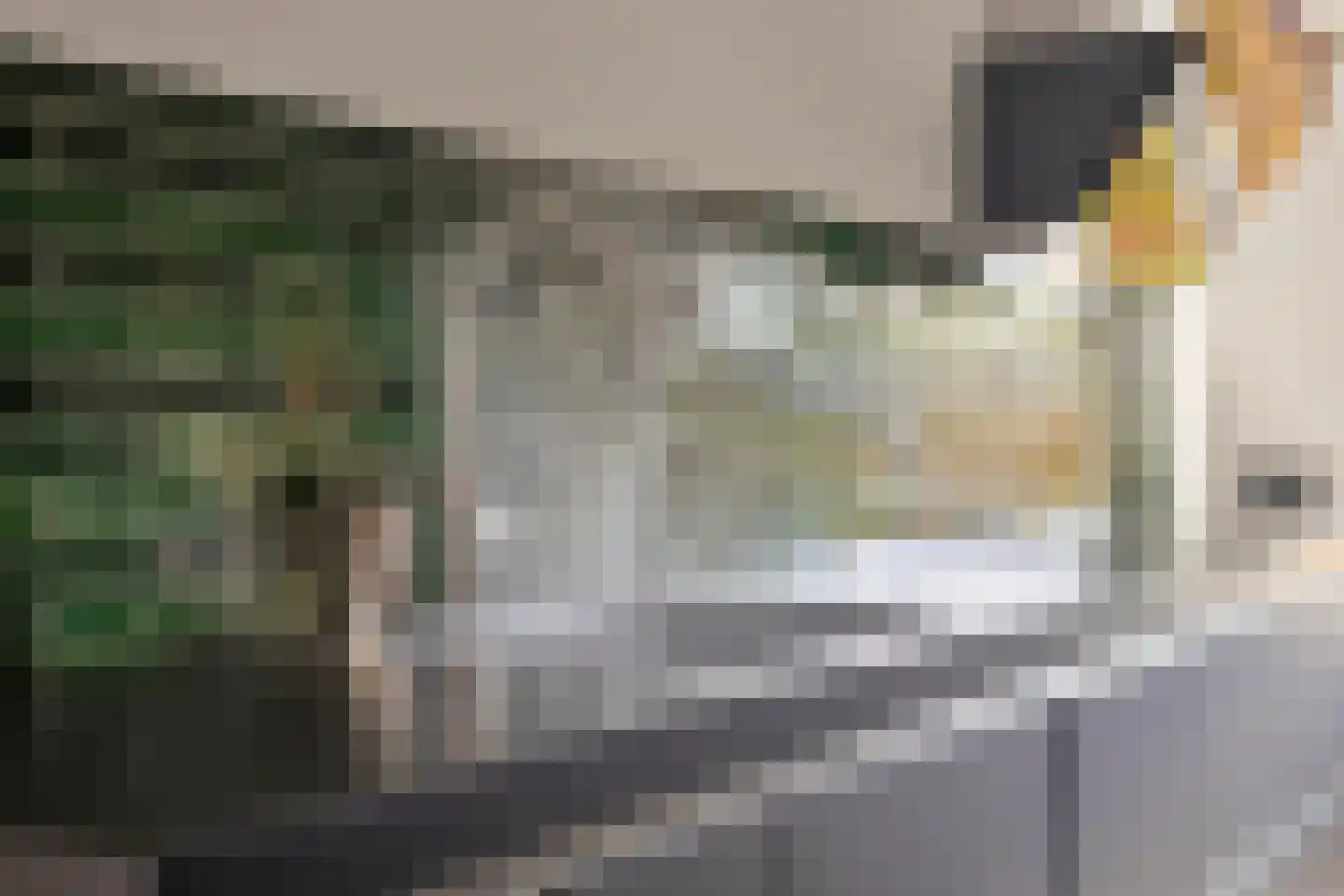Van Nispensingel 45 Zwolle thumbnail 17