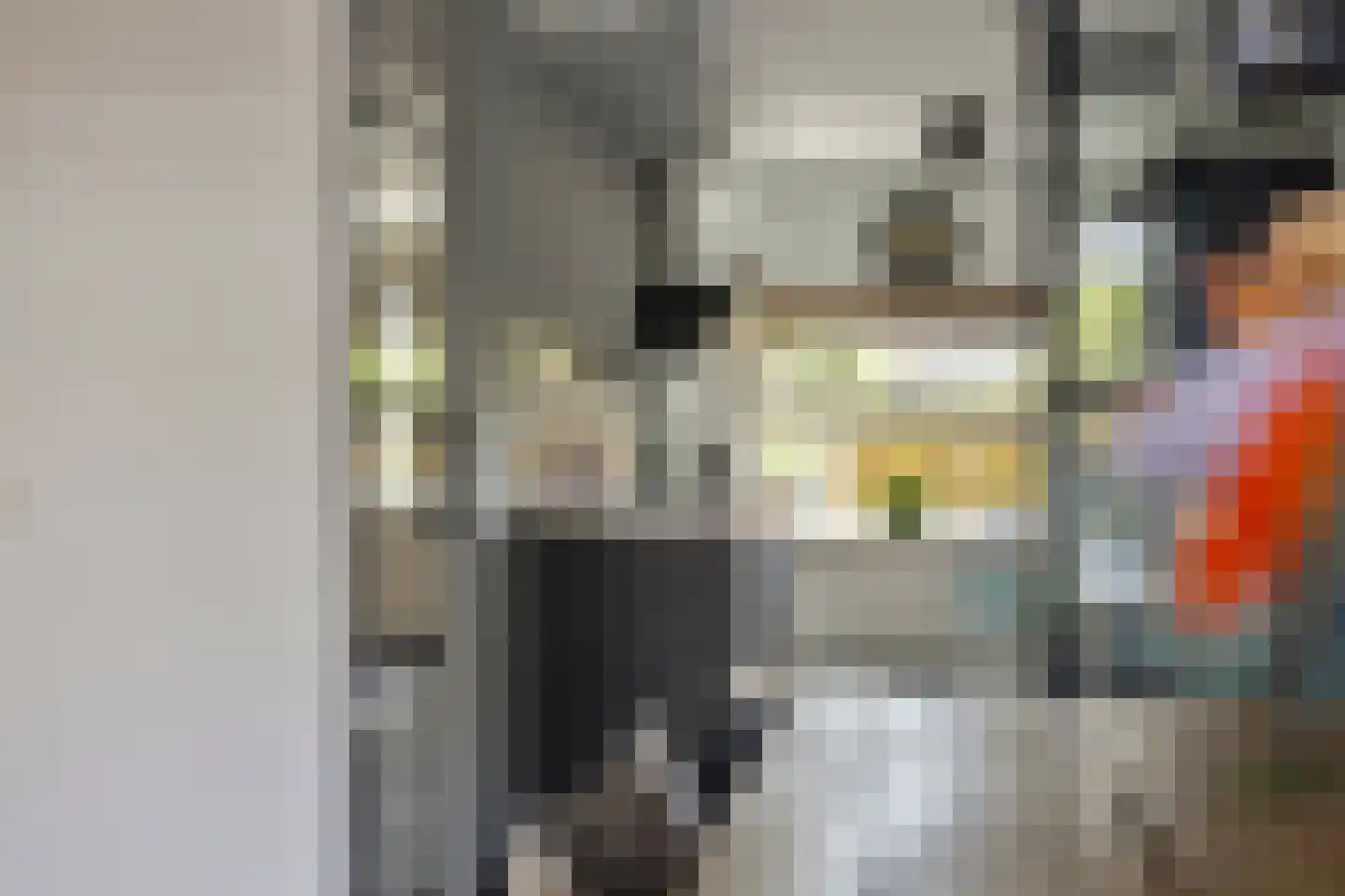 Van Nispensingel 45 Zwolle thumbnail 18