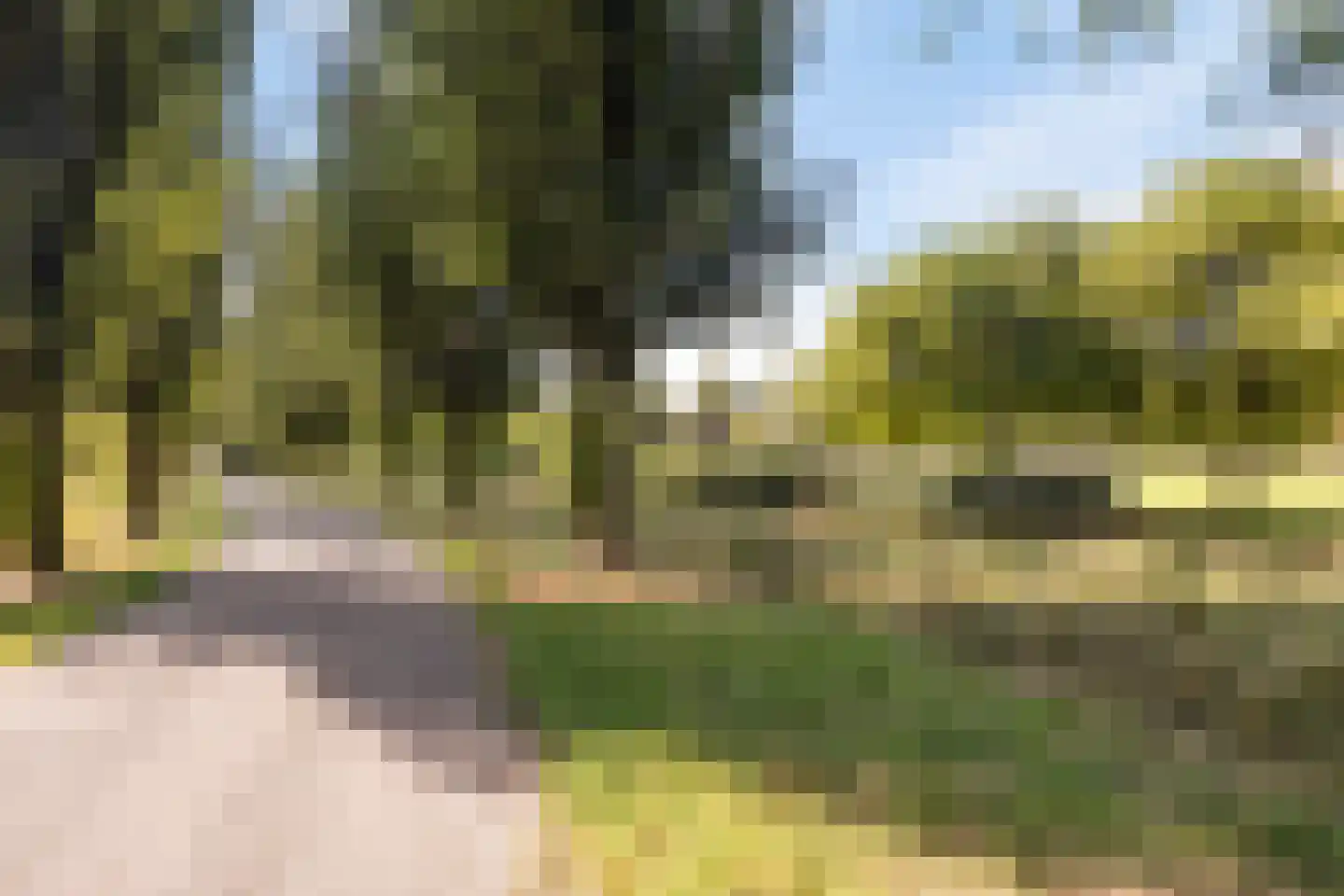 Van Nispensingel 45 Zwolle thumbnail 43