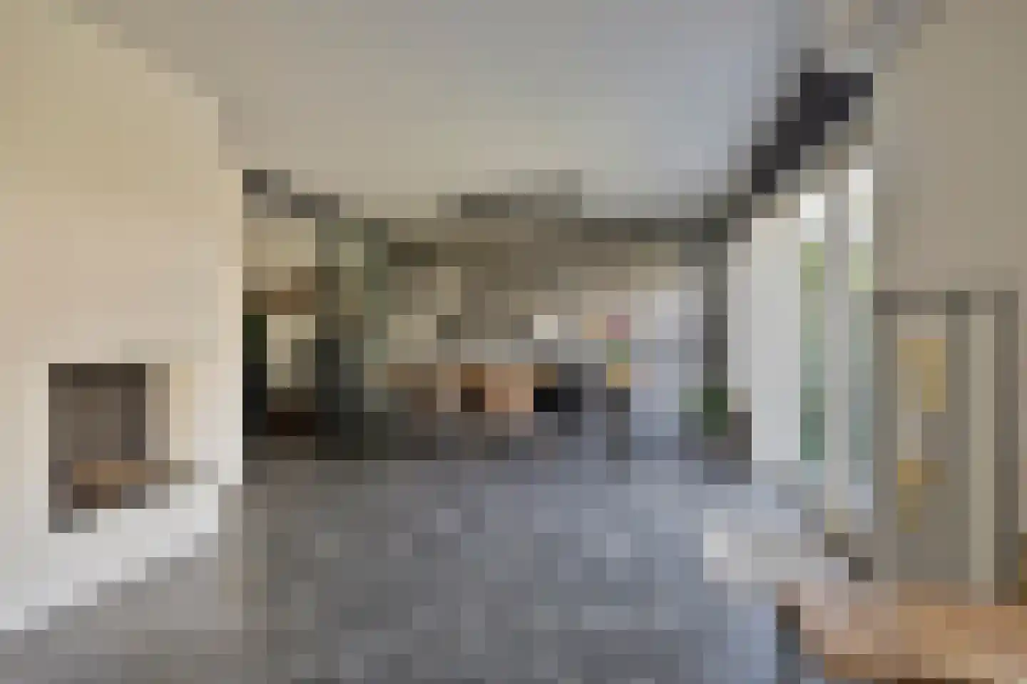 Van Nispensingel 45 Zwolle thumbnail 9