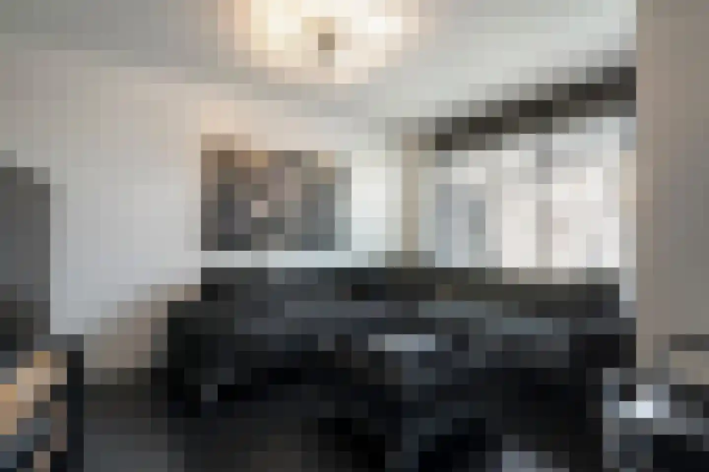 Van Nispensingel 55 Zwolle thumbnail 13