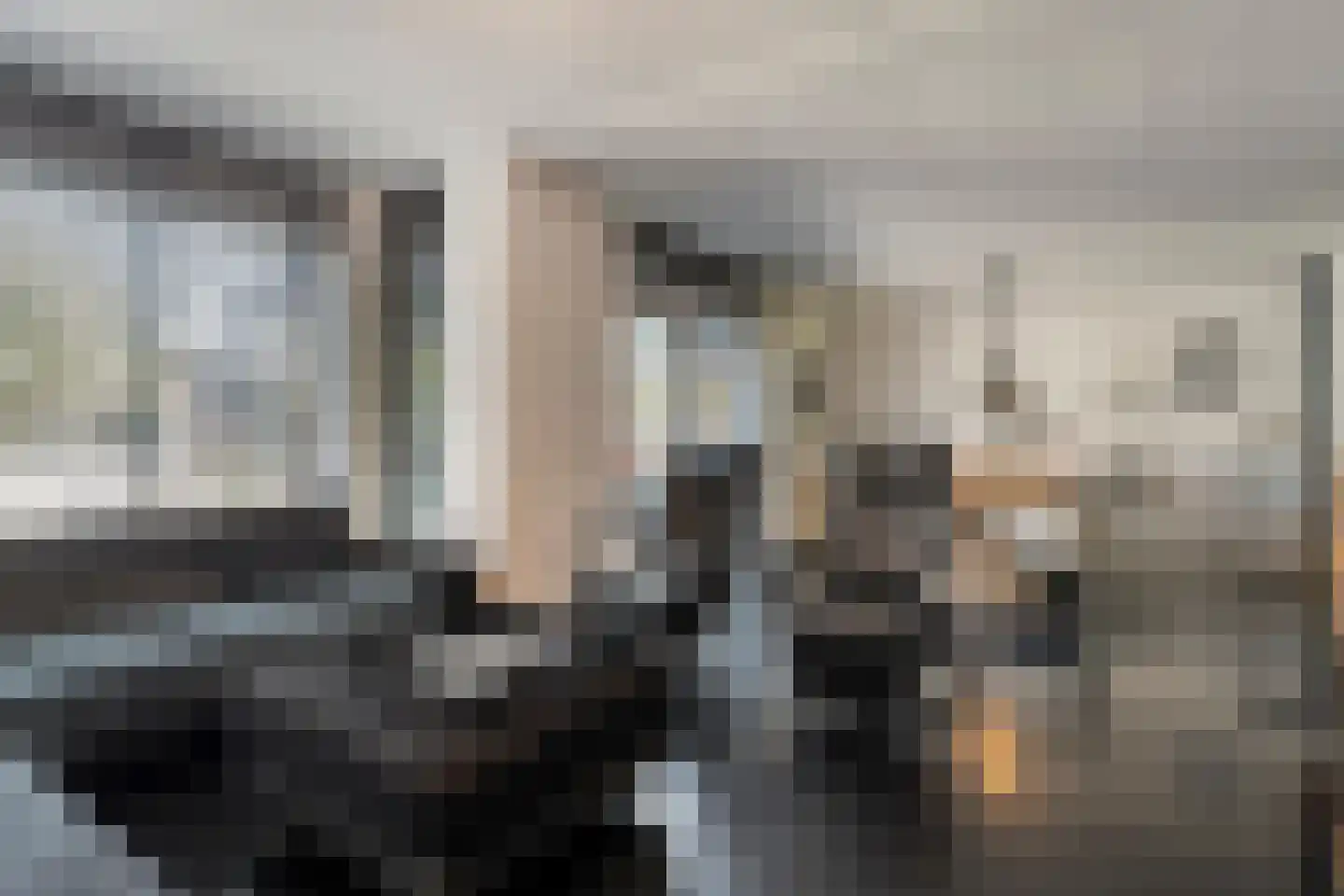 Van Nispensingel 55 Zwolle thumbnail 14