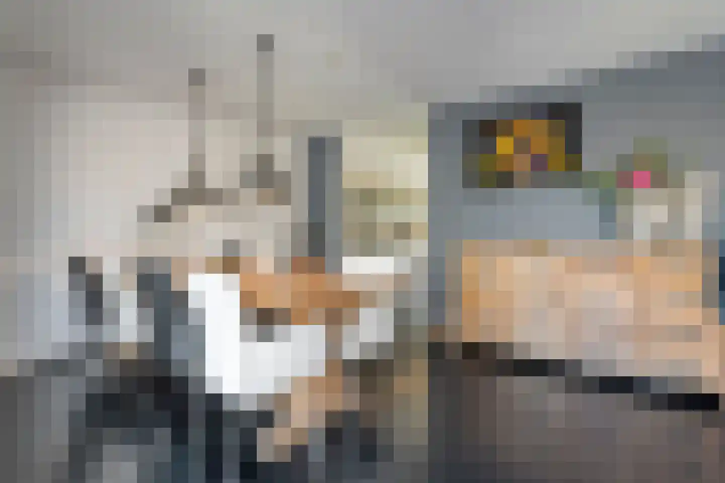 Van Nispensingel 55 Zwolle thumbnail 15