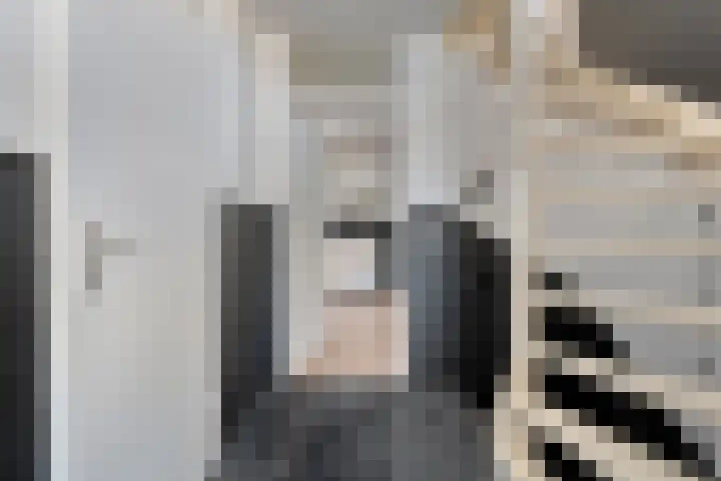 Van Nispensingel 55 Zwolle thumbnail 17
