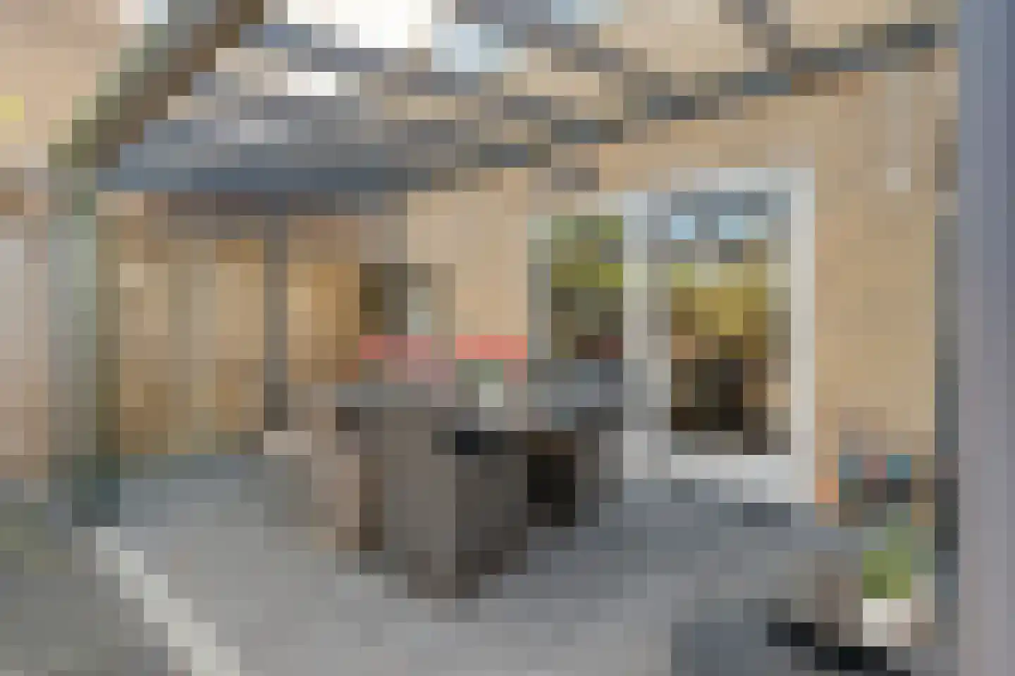Van Nispensingel 55 Zwolle thumbnail 31