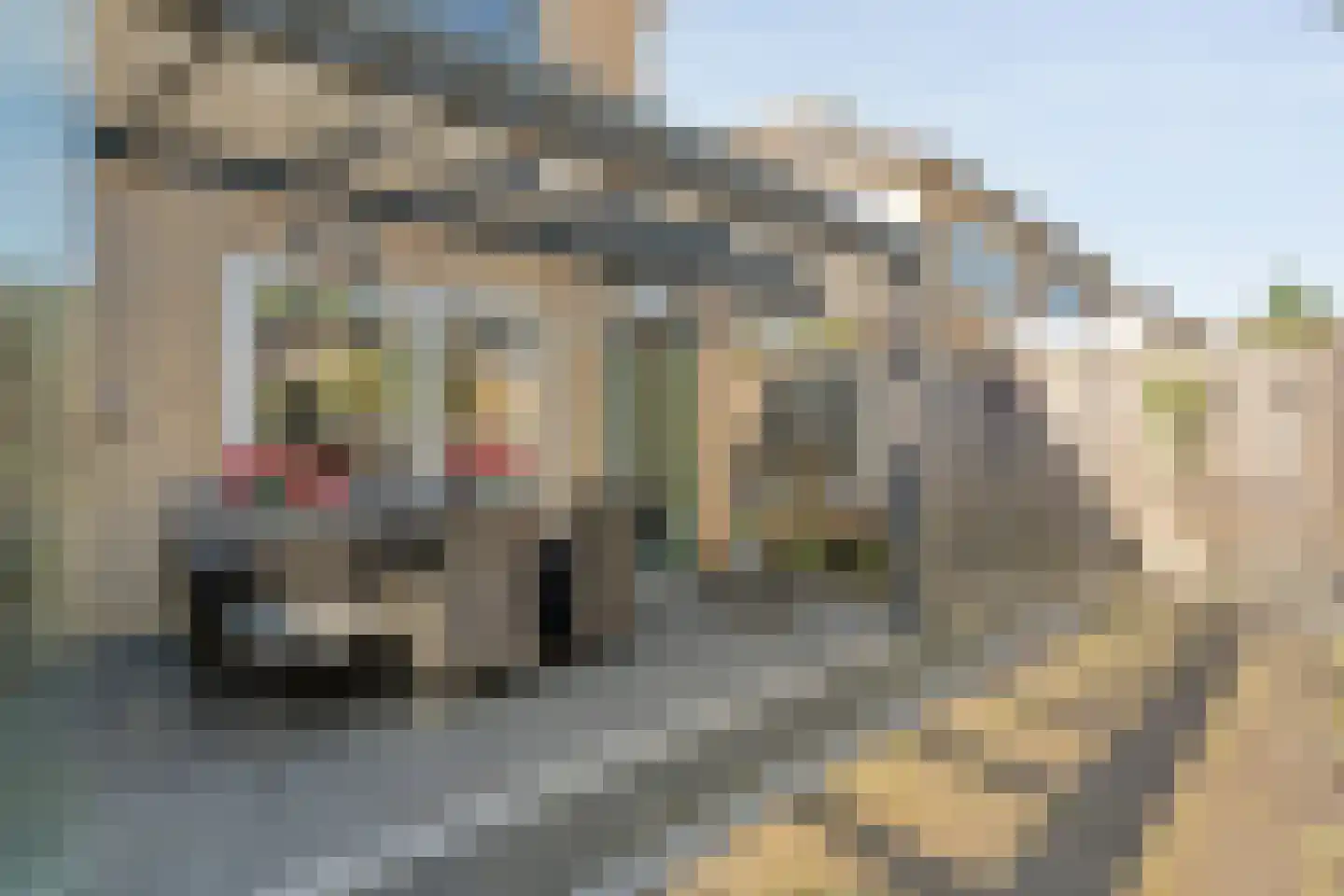 Van Nispensingel 55 Zwolle thumbnail 33