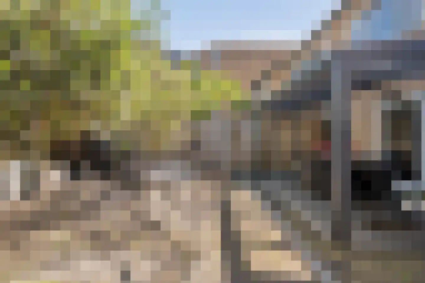 Van Nispensingel 55 Zwolle thumbnail 35