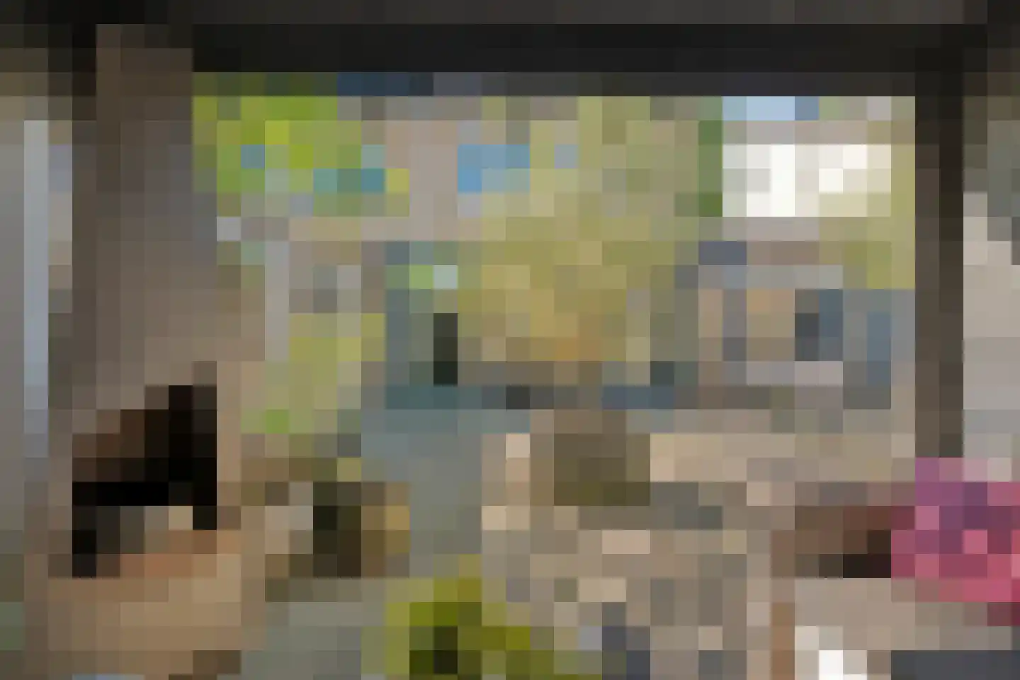 Van Nispensingel 55 Zwolle thumbnail 36
