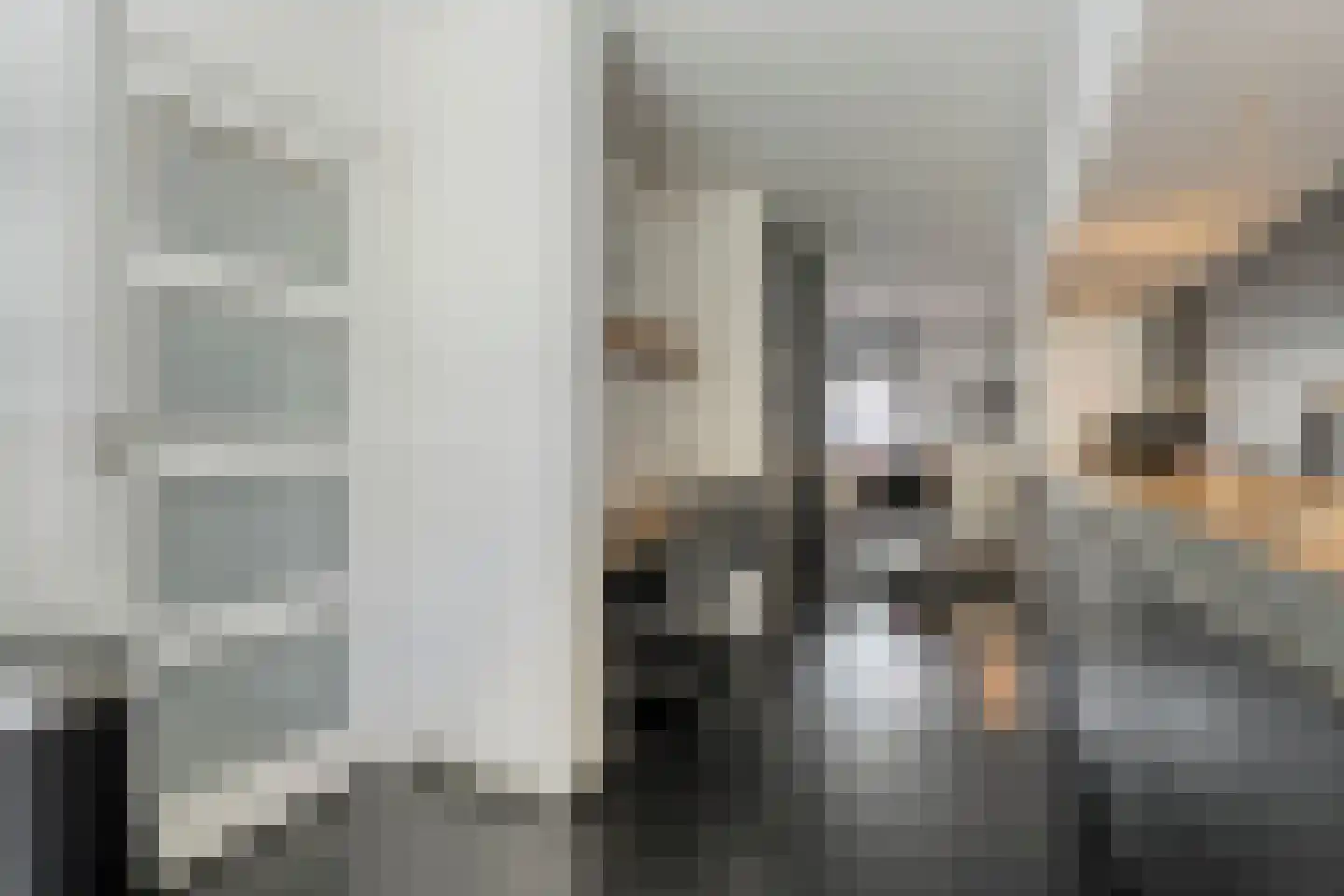 Van Nispensingel 55 Zwolle thumbnail 8