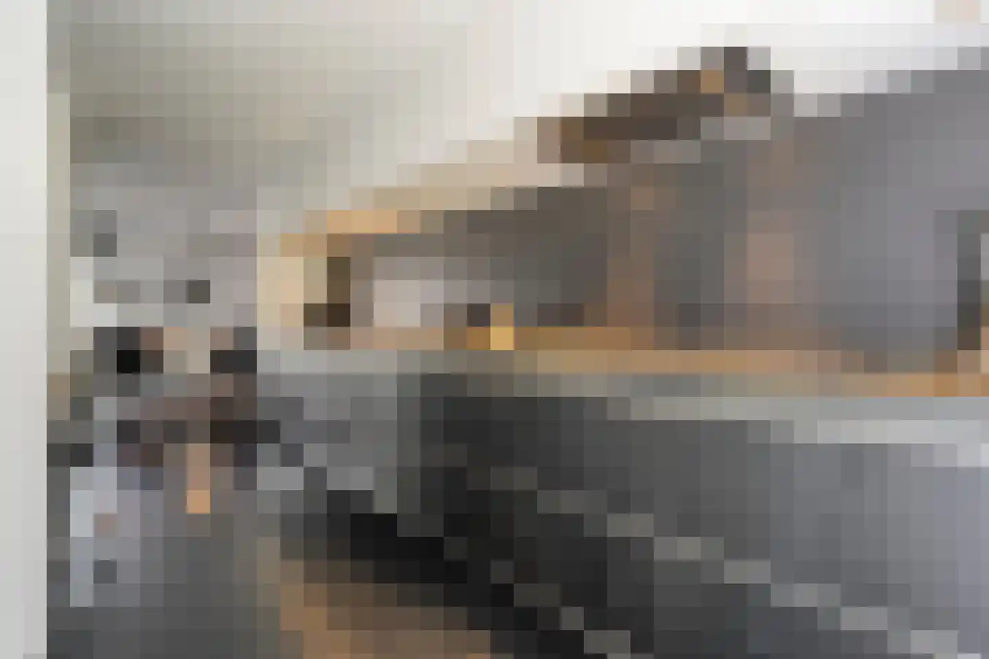 Van Nispensingel 55 Zwolle thumbnail 9