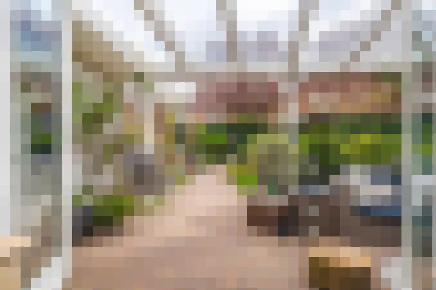 Van Nispenstraat 11 Zevenaar thumbnail 20