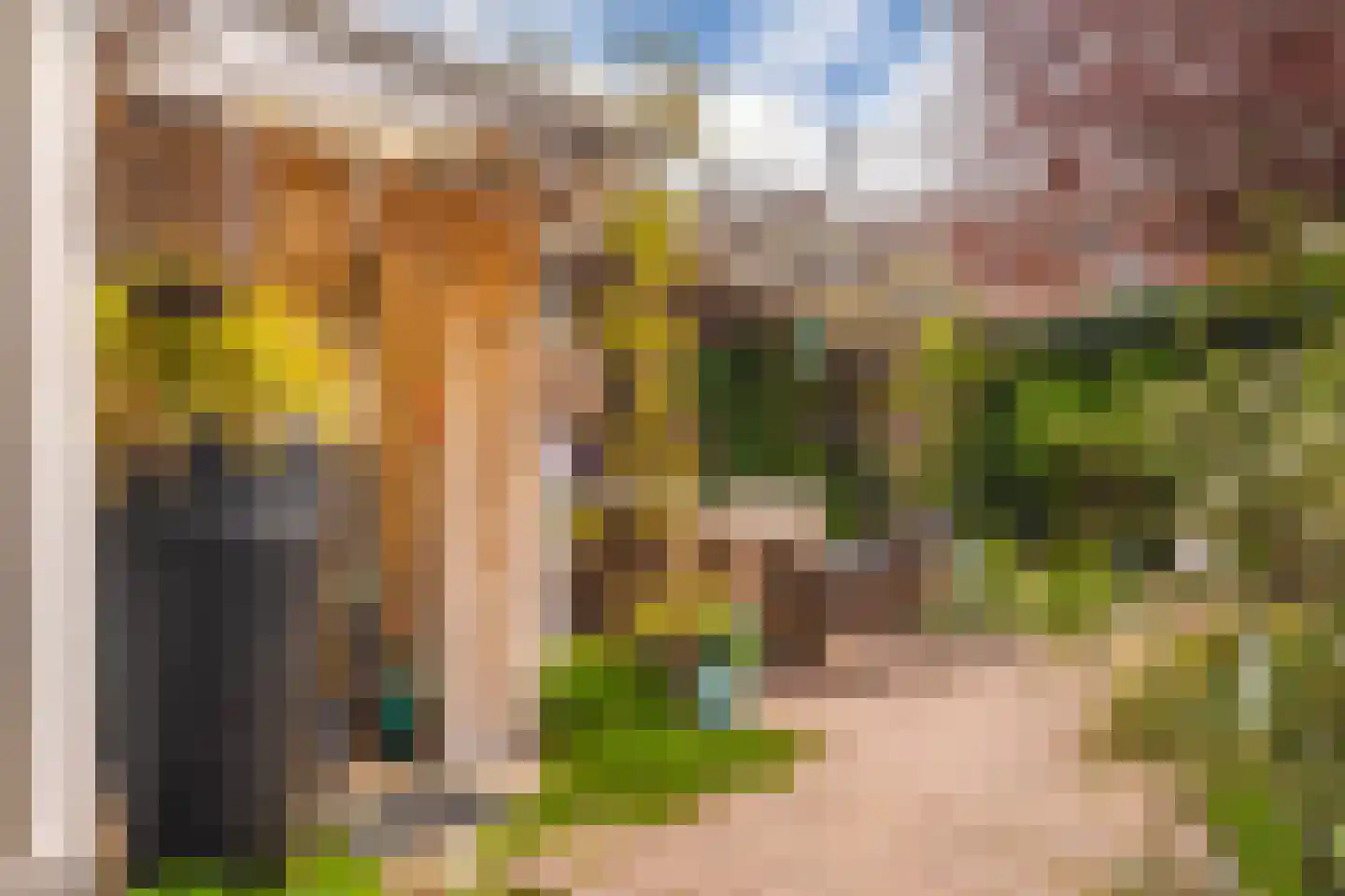 Van Nispenstraat 11 Zevenaar thumbnail 25