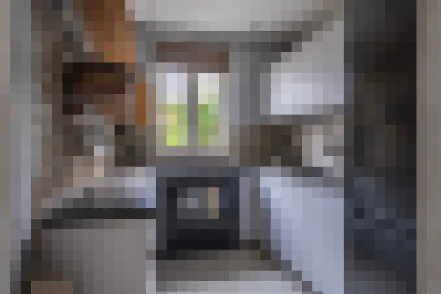 Van Nispenstraat 11 Zevenaar thumbnail 5