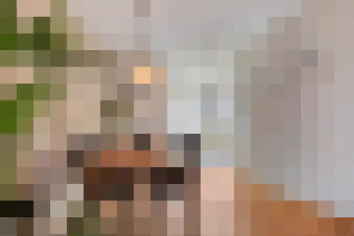 Van Nispenstraat 15 Steenbergen thumbnail 10