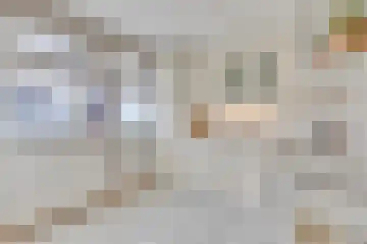 Van Nispenstraat 15 Steenbergen thumbnail 12