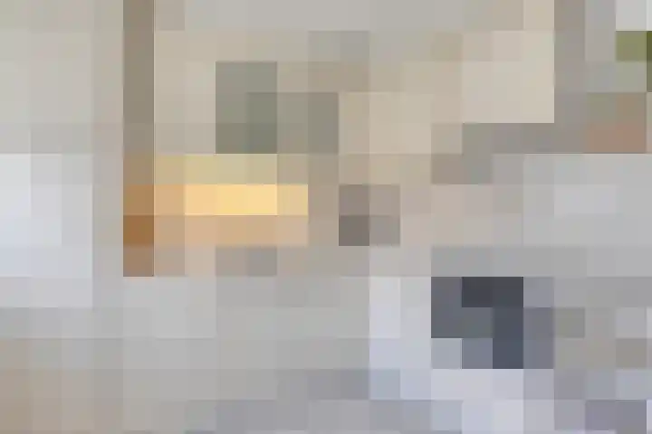 Van Nispenstraat 15 Steenbergen thumbnail 13