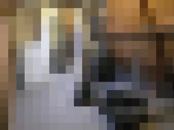 Van Nispenstraat 15 Steenbergen thumbnail 23
