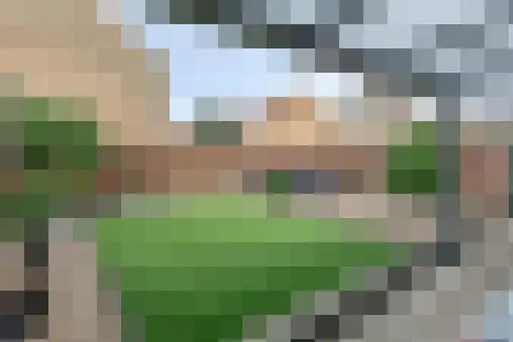 Van Nispenstraat 15 Steenbergen thumbnail 25
