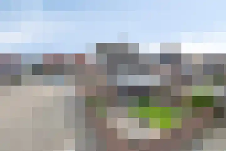Van Nispenstraat 15 Steenbergen thumbnail 33