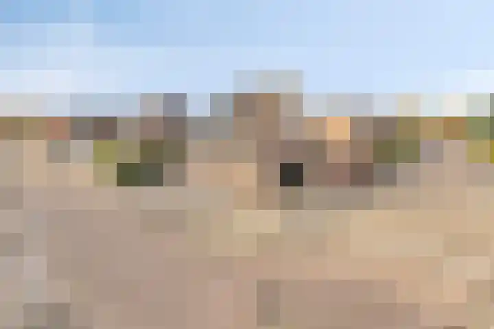 Van Nispenstraat 15 Steenbergen thumbnail 4