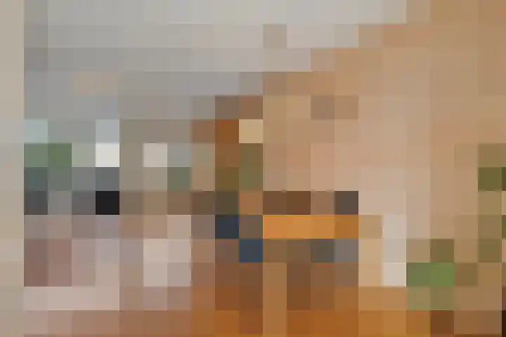 Van Nispenstraat 15 Steenbergen thumbnail 6