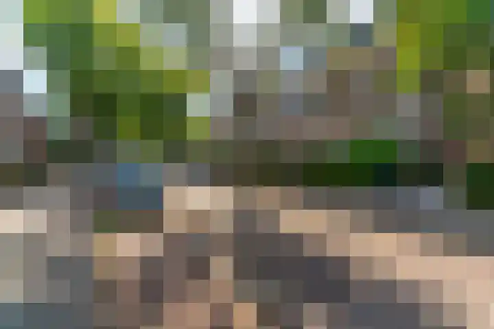 van Nispenstraat 186 Nijmegen thumbnail 38