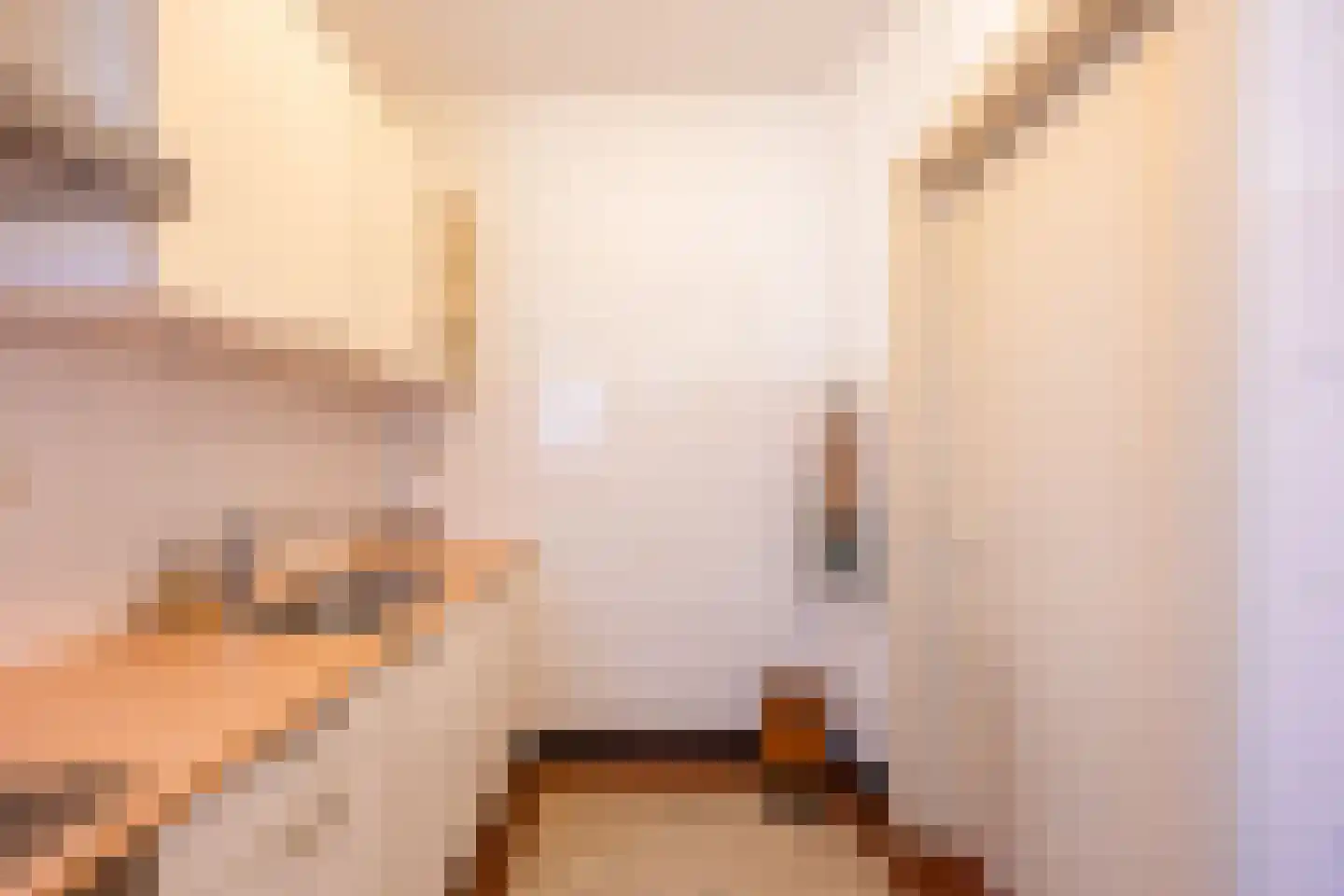 van Nispenstraat 212 Nijmegen thumbnail 13