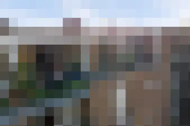 van Nispenstraat 23 Nijmegen thumbnail 30