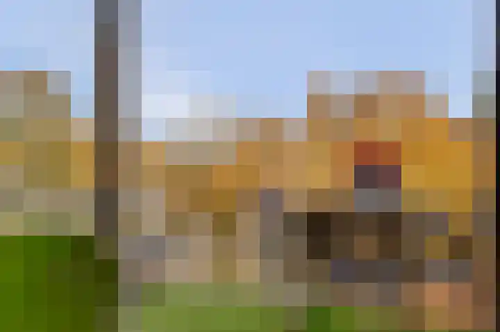 van Nispenstraat 23 Nijmegen thumbnail 4