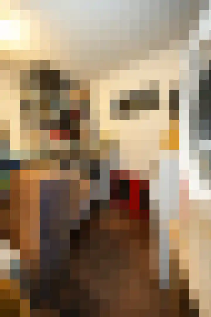 van Nispenstraat 240 Nijmegen thumbnail 22