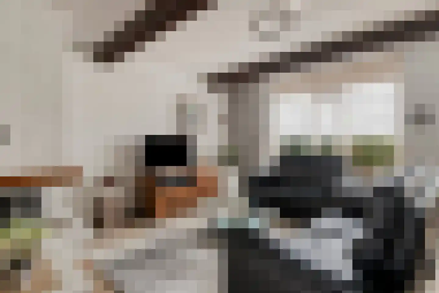 Van Nispenstraat 28 Steenbergen thumbnail 4