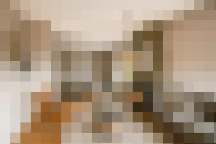 van Nispenstraat 3 Ulft thumbnail 11