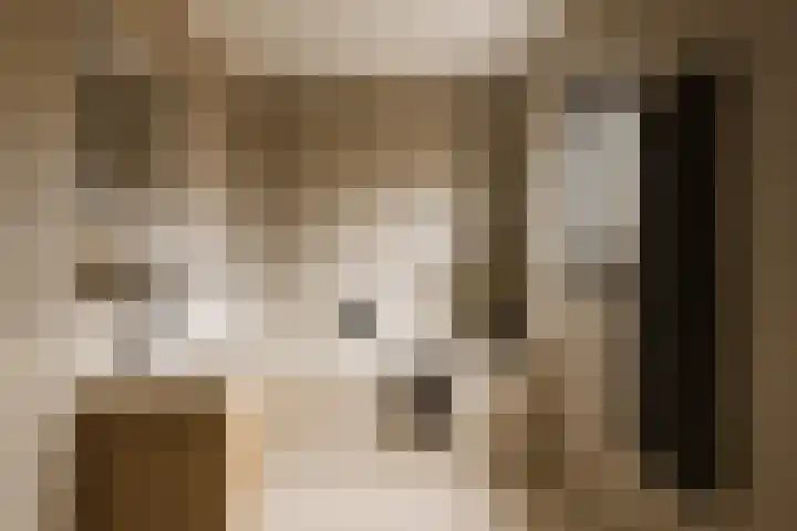 van Nispenstraat 3 Ulft thumbnail 21