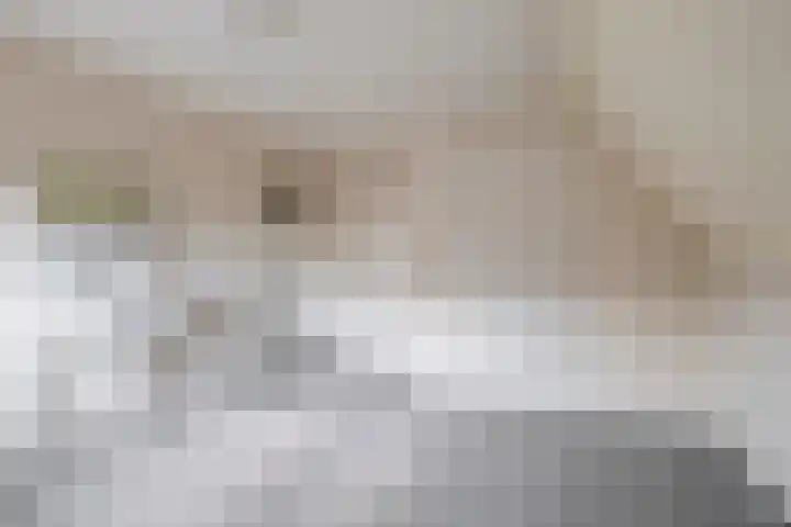 van Nispenstraat 3 Ulft thumbnail 28