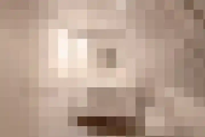 van Nispenstraat 3 Ulft thumbnail 31
