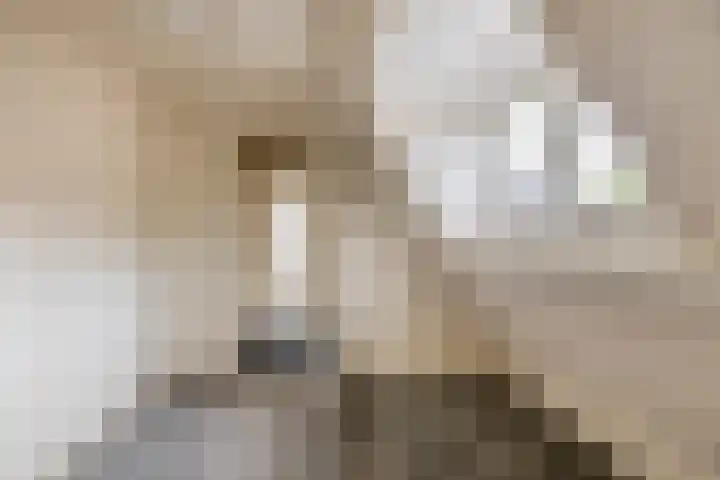 van Nispenstraat 3 Ulft thumbnail 34